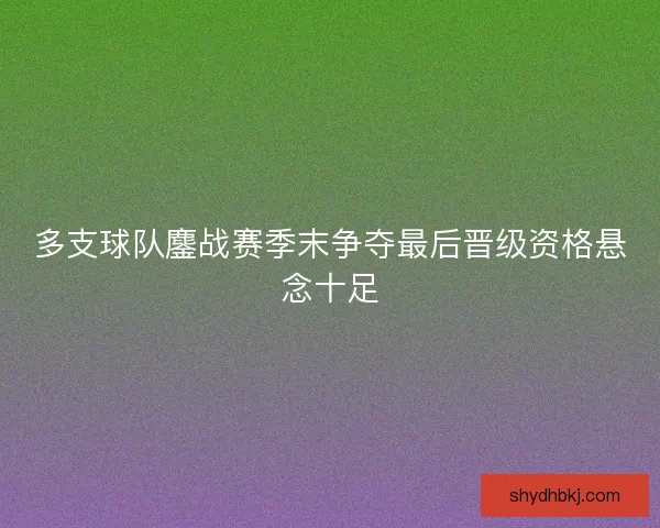 多支球队鏖战赛季末争夺最后晋级资格悬念十足